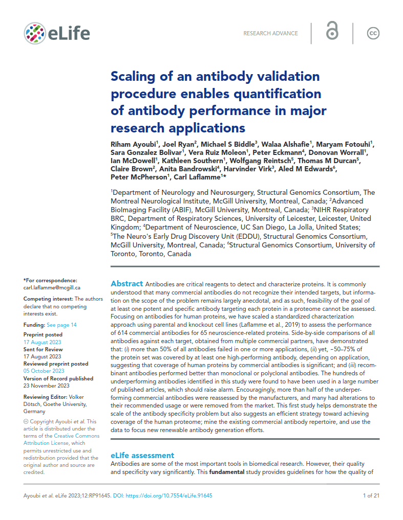 Scaling of an antibody validation procedure